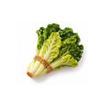 Funny Foods Seramik Marul Magneti