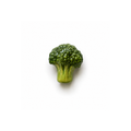Funny Foods Brokoli Magnet Seti No.30