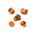 Funny Foods Mandalina Magnet Seti No.24
