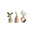 Funny Vase Tutti Magnet Set No.2
