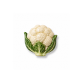 Funny Foods Karnıbahar Magnet Seti No.31