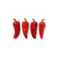 Funny Foods Kapya Biber Magnet Seti No.37