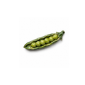 Funny Foods Bezelye Magnet Seti No.35