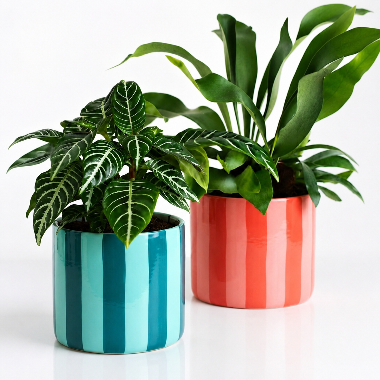 Jera Amalfi Saksı Turkuaz & Mavi ve Pembe & Kırmızı.Studio Jera Co.