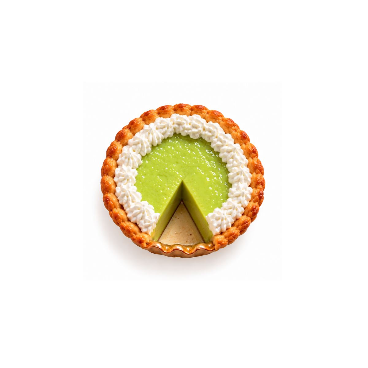 Funny Food Turta Magnet No.46