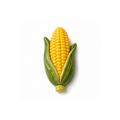 Funny Food Mısır Magnet No.48