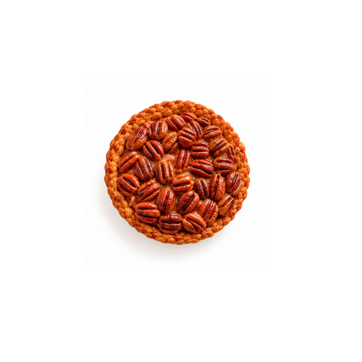 Funny Food Turta Magnet No.46