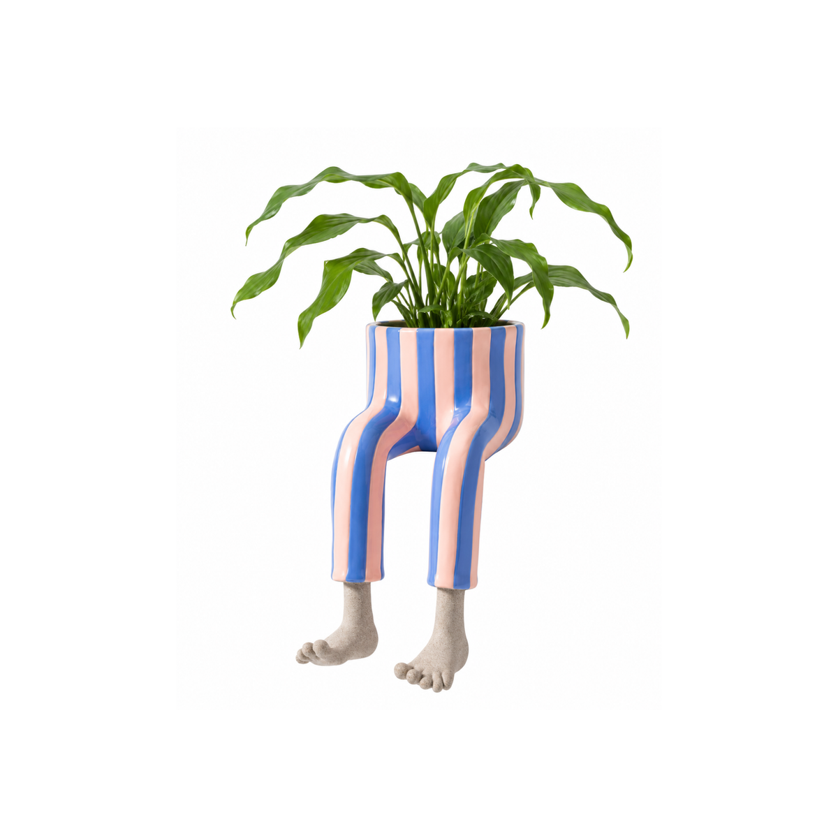 Funny Seta Planter