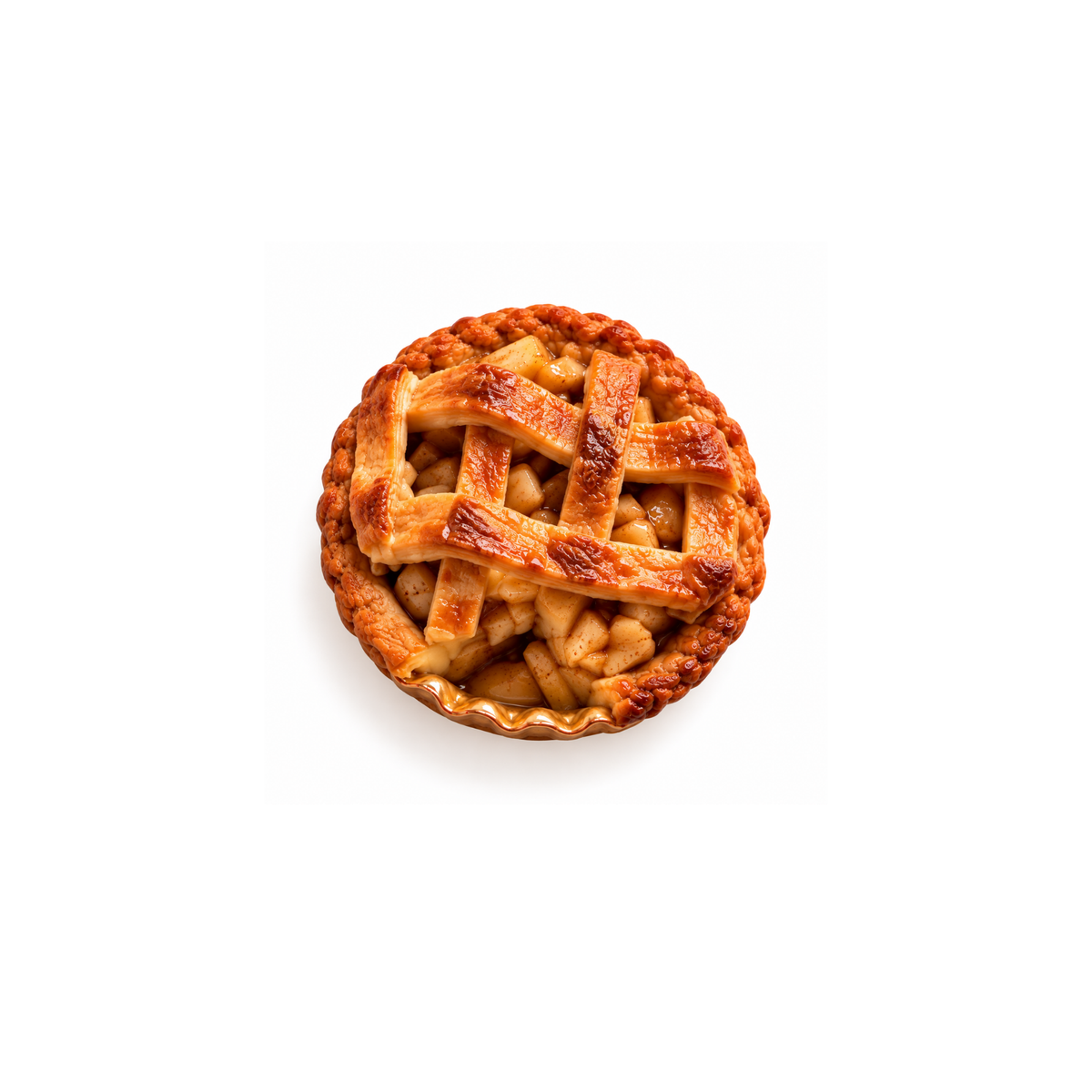 Funny Food Turta Magnet No.46