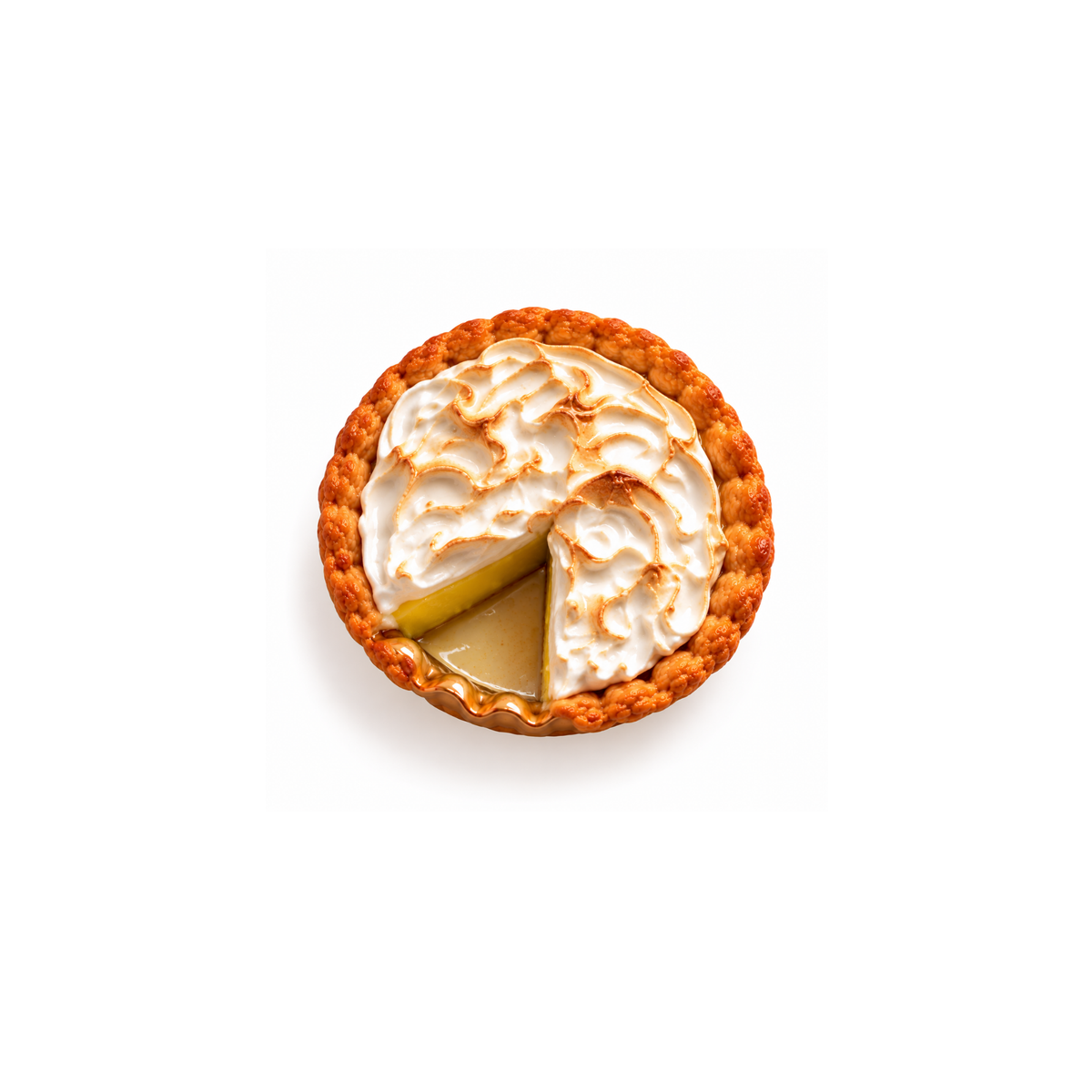 Funny Food Turta Magnet No.46